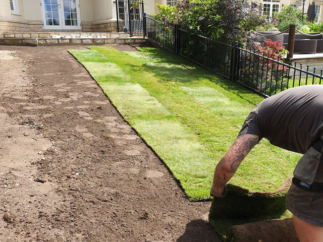 Latest Turf Installation Project